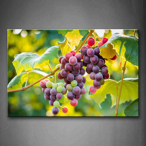Yellow Orange A Bunch Of Grapes And Leaves Wall Art Painting Pictures Print On Canvas Food The Picture For Home Modern Decoration 