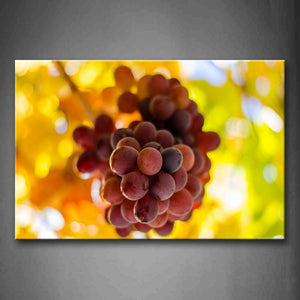 Yellow Orange A Bunch Of Purple Grapes Wall Art Painting Pictures Print On Canvas Food The Picture For Home Modern Decoration 