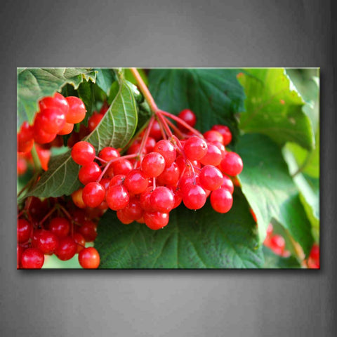 Red Light Berries And Leaves Wall Art Painting The Picture Print On Canvas Food Pictures For Home Decor Decoration Gift 