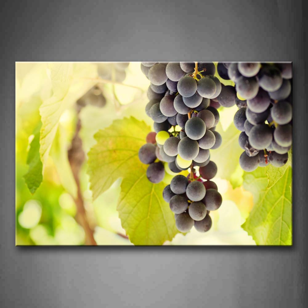 Purple Grapes With Leaves Wall Art Painting The Picture Print On Canvas Food Pictures For Home Decor Decoration Gift 