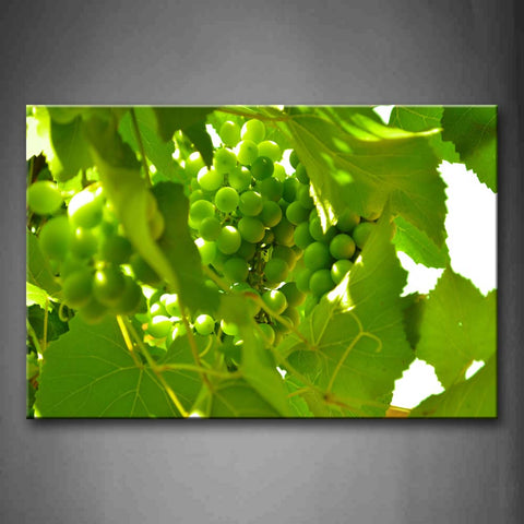 Green Grapes With Leaves Wall Art Painting Pictures Print On Canvas Food The Picture For Home Modern Decoration 