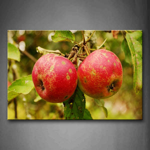 Red Apples And Leaves Wall Art Painting Pictures Print On Canvas Food The Picture For Home Modern Decoration 