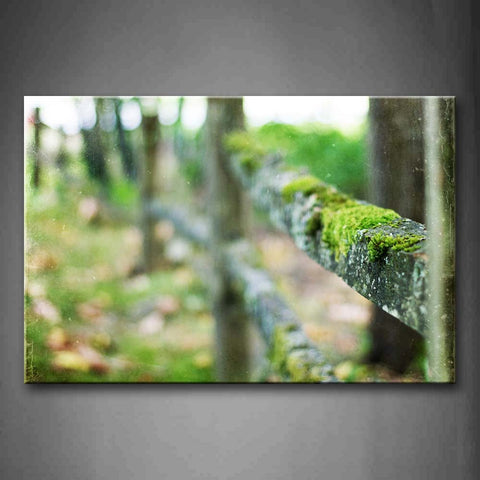 Iron Fence With Thick Moss Wall Art Painting Pictures Print On Canvas City The Picture For Home Modern Decoration 