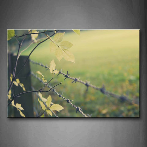 Fence Made Of Barb Wires Branch With Spare Leaves Wall Art Painting Pictures Print On Canvas City The Picture For Home Modern Decoration 