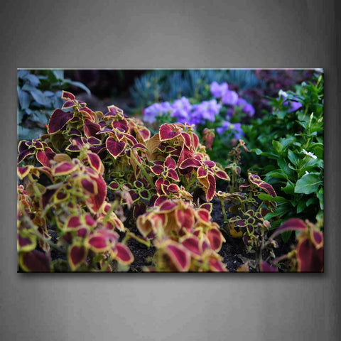 Beautiful Flowers In Red And Purple  Wall Art Painting Pictures Print On Canvas Art The Picture For Home Modern Decoration 