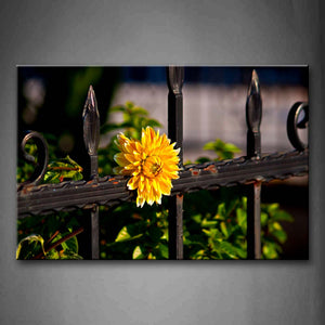 Yellow Flower On The Iron Of Fence  Wall Art Painting The Picture Print On Canvas City Pictures For Home Decor Decoration Gift 