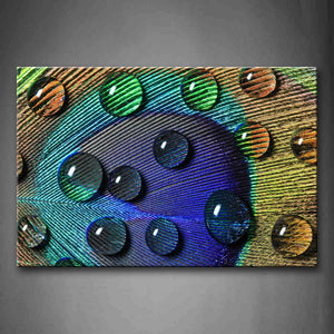 Water Drops On The Feather Of Peacock Wall Art Painting Pictures Print On Canvas Art The Picture For Home Modern Decoration 