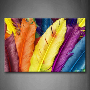 Feathers In Different Color  Wall Art Painting The Picture Print On Canvas Art Pictures For Home Decor Decoration Gift 