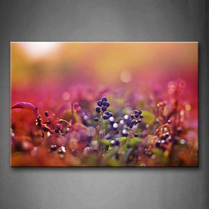 Colorful Plants With Strange Fruits Wall Art Painting Pictures Print On Canvas Flower The Picture For Home Modern Decoration 