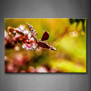 Water Drops On The Plants Leaves Like Butterfly Wall Art Painting The Picture Print On Canvas Art Pictures For Home Decor Decoration Gift 