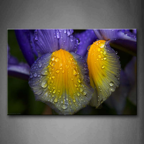 Water Drops On Petals In Yellow And Purple Wall Art Painting Pictures Print On Canvas Art The Picture For Home Modern Decoration 