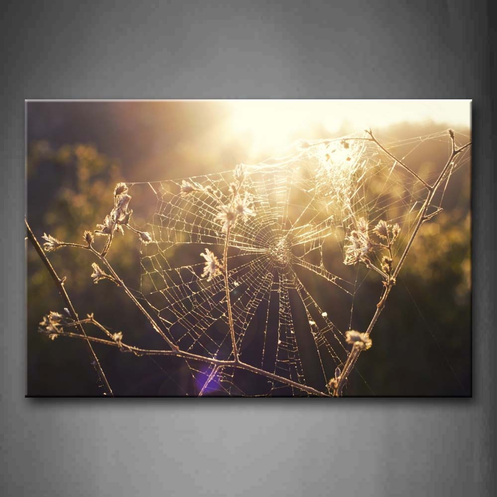 Web Made By Spider On Branch  Wall Art Painting Pictures Print On Canvas Art The Picture For Home Modern Decoration 