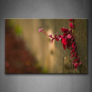 Red Flower On Wall  Wall Art Painting The Picture Print On Canvas Flower Pictures For Home Decor Decoration Gift 