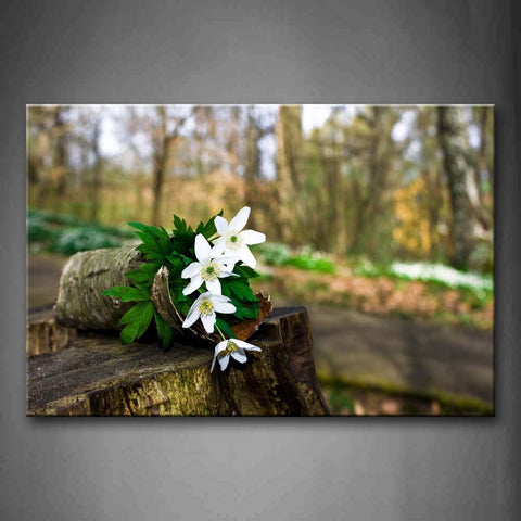 White Flowers In Pot  Wall Art Painting Pictures Print On Canvas Flower The Picture For Home Modern Decoration 