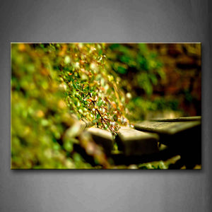 A Lot Of Green Leaves  Wall Art Painting Pictures Print On Canvas Botanical The Picture For Home Modern Decoration 