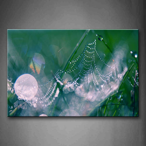 Web With Water Drop  Wall Art Painting The Picture Print On Canvas Art Pictures For Home Decor Decoration Gift 