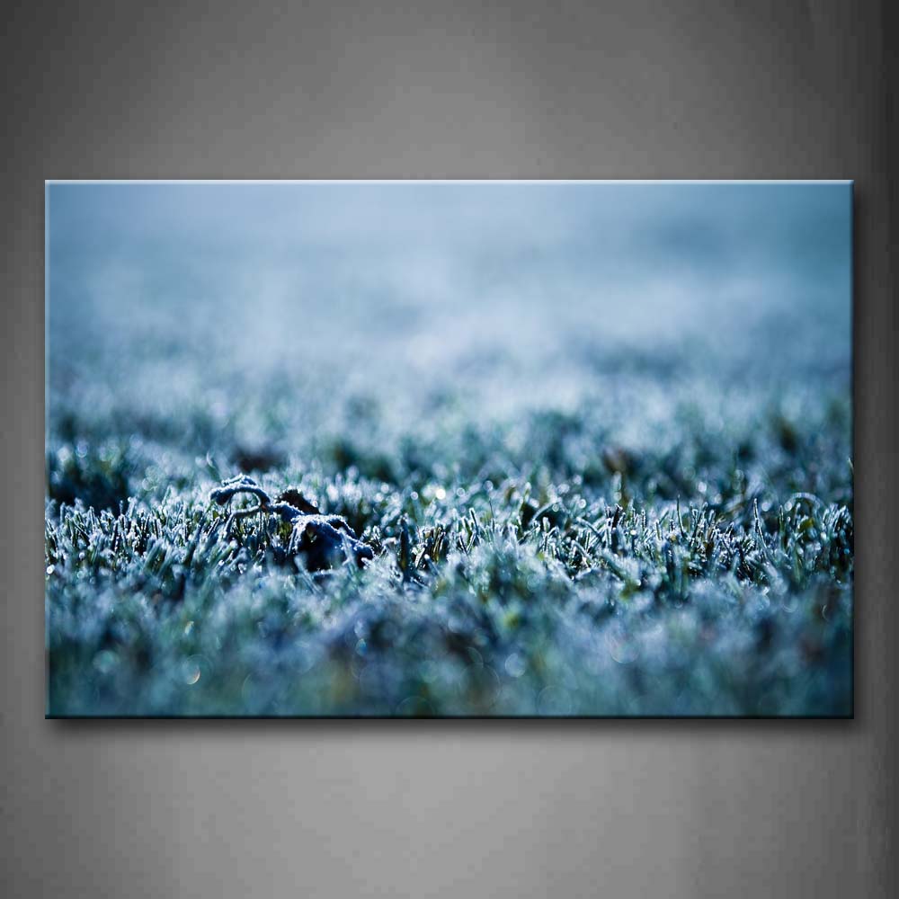 Grass Field With Dewdrop Wall Art Painting Pictures Print On Canvas Art The Picture For Home Modern Decoration 