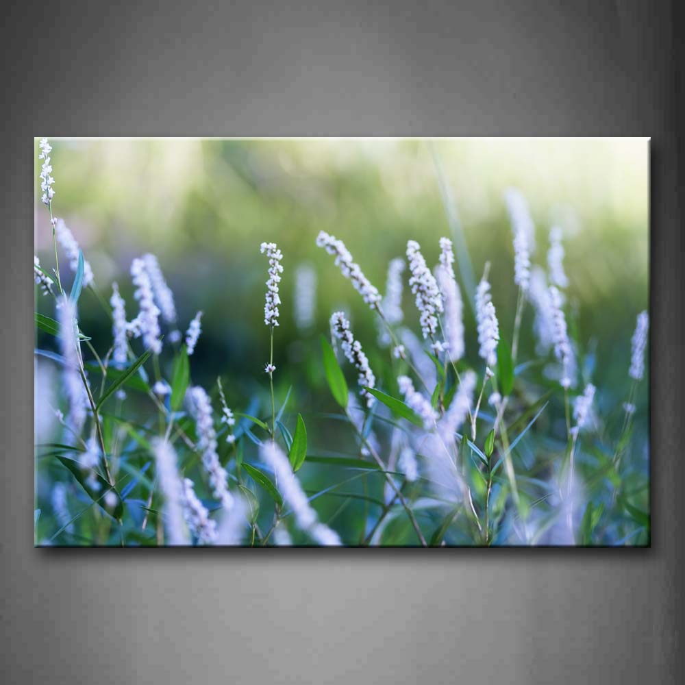 White Flowers In Grass  Wall Art Painting The Picture Print On Canvas Art Pictures For Home Decor Decoration Gift 