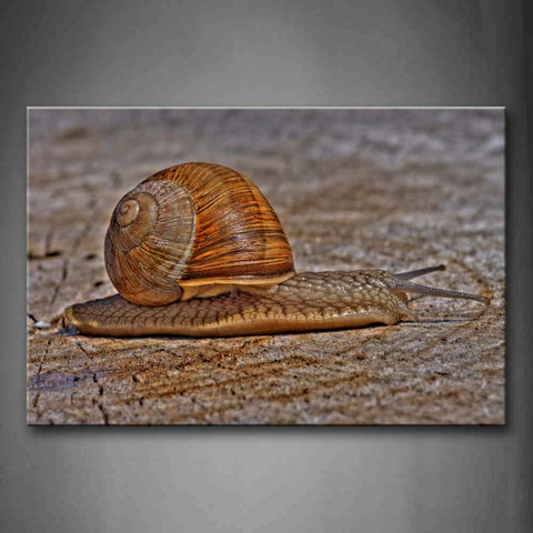 Snail On Floor  Wall Art Painting Pictures Print On Canvas Art The Picture For Home Modern Decoration 