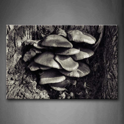 Black And White Mushroom In Tree  Wall Art Painting Pictures Print On Canvas Art The Picture For Home Modern Decoration 