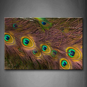 Brown Peocock Feather  Wall Art Painting The Picture Print On Canvas Art Pictures For Home Decor Decoration Gift 