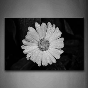 Black And White White Flower With Dewdrop Wall Art Painting Pictures Print On Canvas Flower The Picture For Home Modern Decoration 