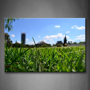 Green Lawn And Blue Sky  Wall Art Painting Pictures Print On Canvas Art The Picture For Home Modern Decoration 