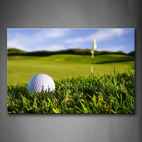 Only A White Ball In The Lawn Wall Art Painting The Picture Print On Canvas Art Pictures For Home Decor Decoration Gift 