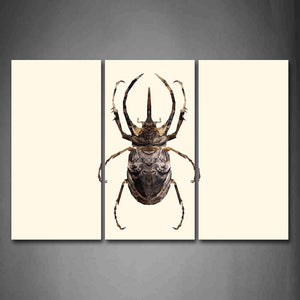 White Background A Insect Wall Art Painting Pictures Print On Canvas Abstract The Picture For Home Modern Decoration 