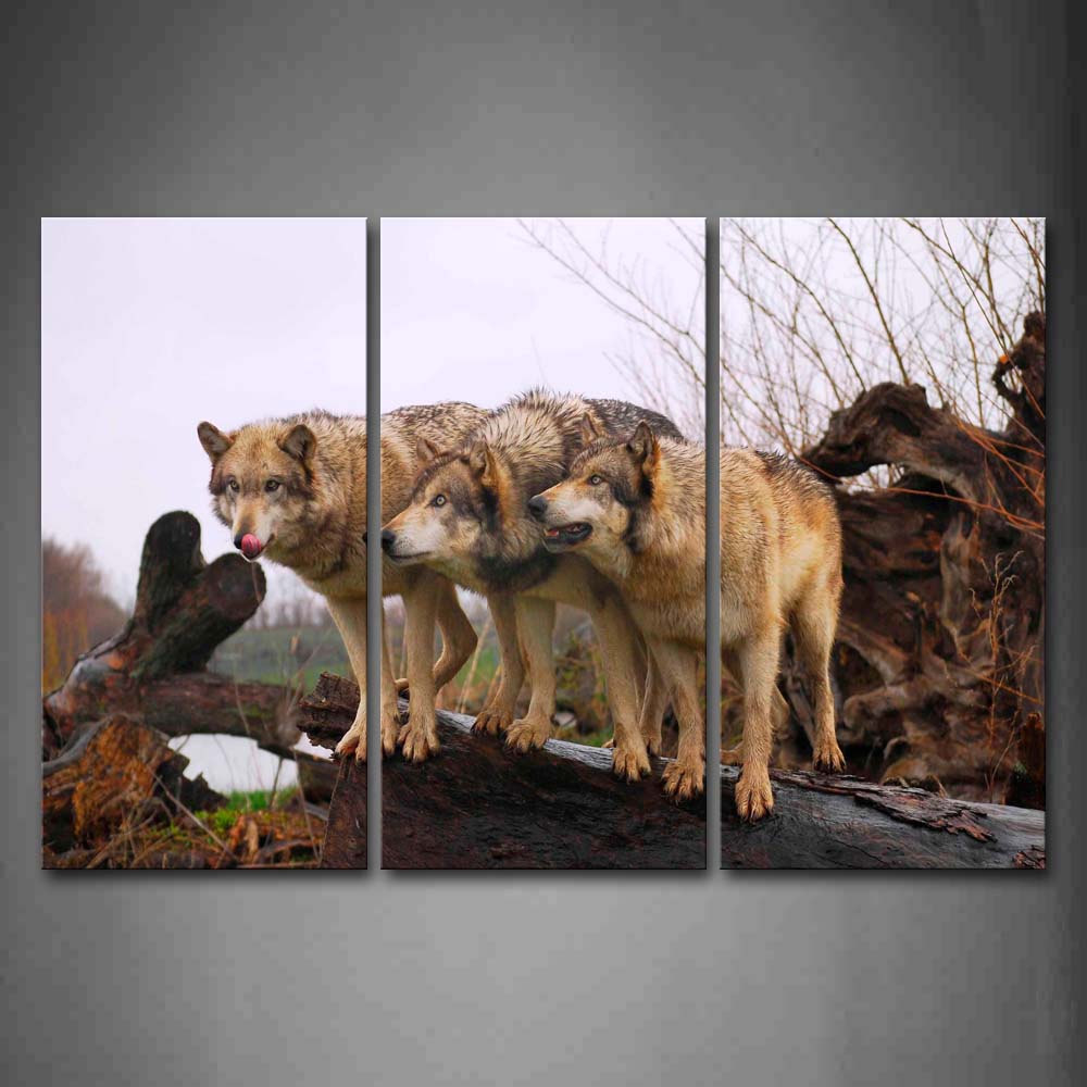 Three Wolfs Stand On Dry Wood Wall Art Painting The Picture Print On Canvas Animal Pictures For Home Decor Decoration Gift 