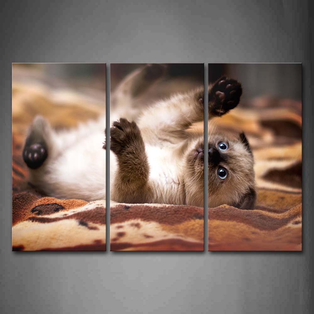 Cat Lie On Cloth Wall Art Painting Pictures Print On Canvas Animal The Picture For Home Modern Decoration 