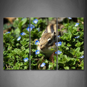 Chipmunk Walk In Flowering Shrubs  Wall Art Painting Pictures Print On Canvas Animal The Picture For Home Modern Decoration 