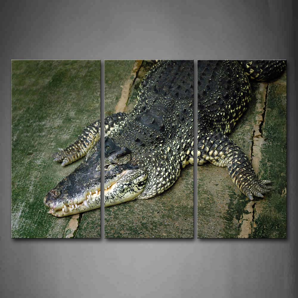 Crocodile Lying On Front Wood Resting Wall Art Painting The Picture Print On Canvas Animal Pictures For Home Decor Decoration Gift 