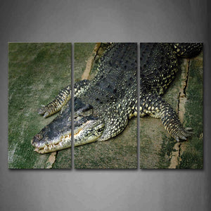 Crocodile Lying On Front Wood Resting Wall Art Painting The Picture Print On Canvas Animal Pictures For Home Decor Decoration Gift 