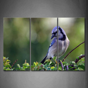 Bird Stand On Branch Wall Art Painting The Picture Print On Canvas Animal Pictures For Home Decor Decoration Gift 