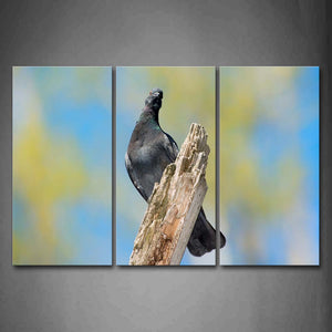 Pigeon Stand On Dry Wood Wall Art Painting Pictures Print On Canvas Animal The Picture For Home Modern Decoration 