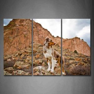 Dog Look Back Standing On Stone Hill Wall Art Painting The Picture Print On Canvas Animal Pictures For Home Decor Decoration Gift 