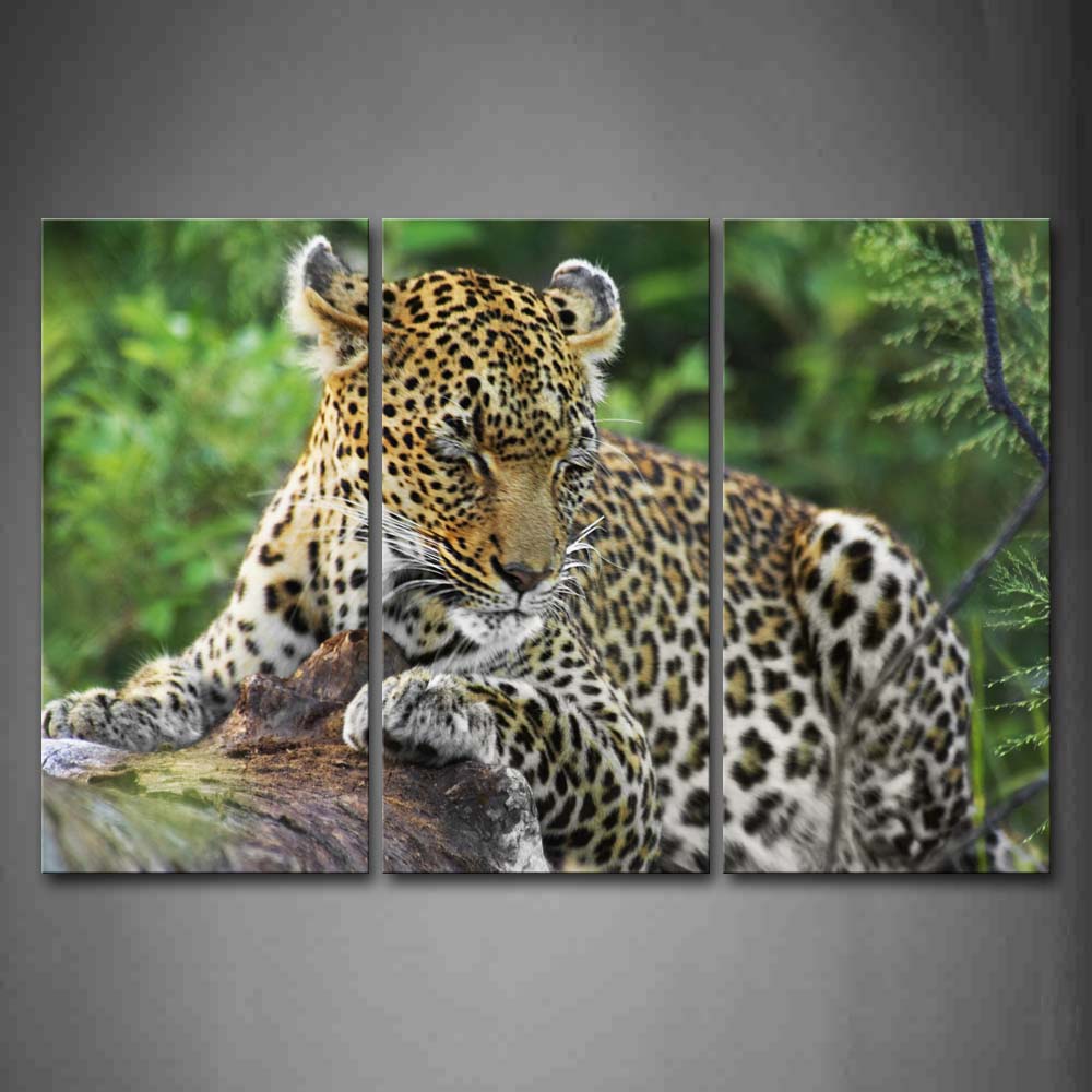 Leopard Lie On Tree Wall Art Painting The Picture Print On Canvas Animal Pictures For Home Decor Decoration Gift 