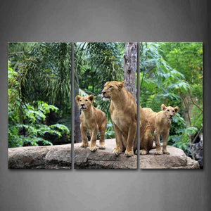 Three Lions Stand On Big Stone Forest Wall Art Painting The Picture Print On Canvas Animal Pictures For Home Decor Decoration Gift 