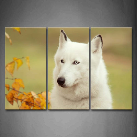 White Dog  Yellow Leafs Wall Art Painting The Picture Print On Canvas Animal Pictures For Home Decor Decoration Gift 