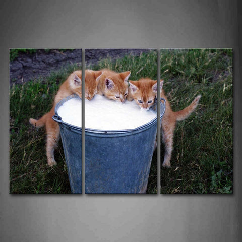 Tree Cats Are Drinking A Barrelof Milk Wall Art Painting The Picture Print On Canvas Animal Pictures For Home Decor Decoration Gift 