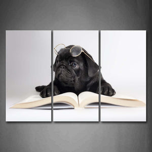 Dog Bend Over A Book And Wear A Glass Wall Art Painting Pictures Print On Canvas Animal The Picture For Home Modern Decoration 