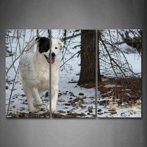 White Dog Walk On Snowfield Trees Grass Wall Art Painting The Picture Print On Canvas Animal Pictures For Home Decor Decoration Gift 