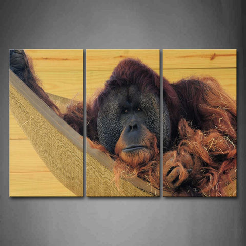 Orangutan Lie In Hammock Wall Art Painting The Picture Print On Canvas Animal Pictures For Home Decor Decoration Gift 