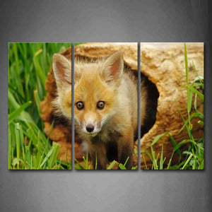 Fox In Dry Wood Green Grass Wall Art Painting Pictures Print On Canvas Animal The Picture For Home Modern Decoration 