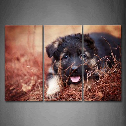 Puppy Sit On Dry Grassland Wall Art Painting The Picture Print On Canvas Animal Pictures For Home Decor Decoration Gift 