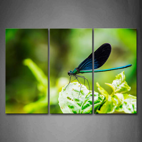 Dragonfly Stand On Green Leaf Wall Art Painting Pictures Print On Canvas Animal The Picture For Home Modern Decoration 