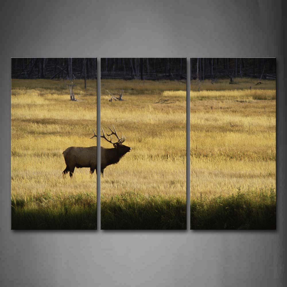 Deer Stand On Yellow Grassland Wall Art Painting The Picture Print On Canvas Animal Pictures For Home Decor Decoration Gift 