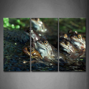 Frog Spawning Mate Wall Art Painting The Picture Print On Canvas Animal Pictures For Home Decor Decoration Gift 