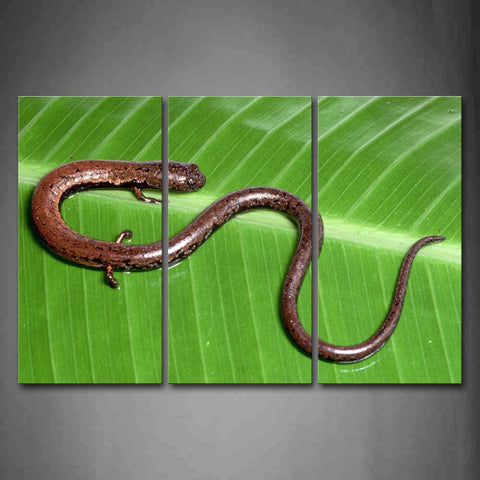 Salamander Crawl On Green Leaf Wall Art Painting The Picture Print On Canvas Animal Pictures For Home Decor Decoration Gift 